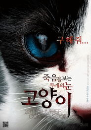 猫看见死亡的双眼电影下载,了解电影的概要