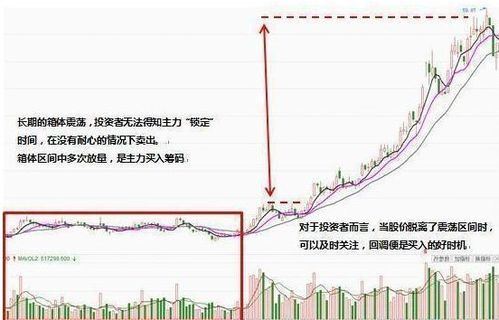 如果我手持股票的上市公司被别的大公司收购了，我的股票是不是就变成大公司的股票了？