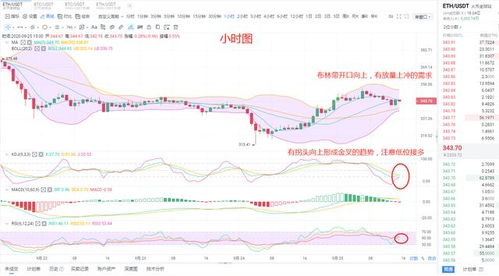 ethfi币最新消息最新消息今天 生态