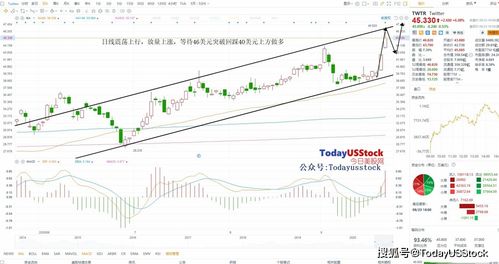 美国股票分析技巧, 美国股票分析技巧