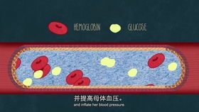 什么动物来月经-图2