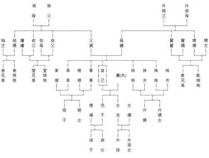 表哥堂哥怎么区分