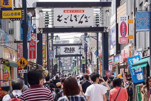 好运日本行 东京品川区 看海豚 逛老街 漫步东京湾