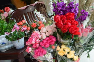 花店的花怎么养,鲜花店的鲜花如何保养，才能让鲜花更持久...