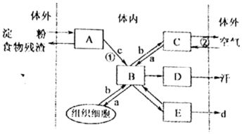 生物学中科学探究的一般方法有哪些？实验法包括什么？探究实验是什么？