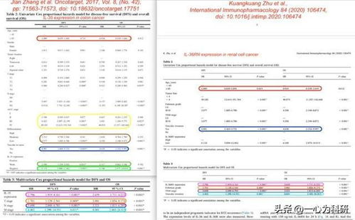 南京查重率检测：方法、工具与技巧