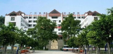 广州高铁职业技术学校,广州铁路学院的官网是什么?