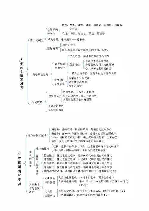 八上生物种子的萌发知识框架