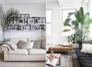 金牛座：如何让你的家居空间更舒适、更具品位？ 