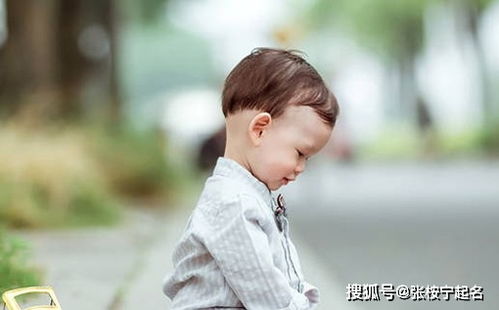 虎年男孩小名大全,2022年最火男宝宝乳名