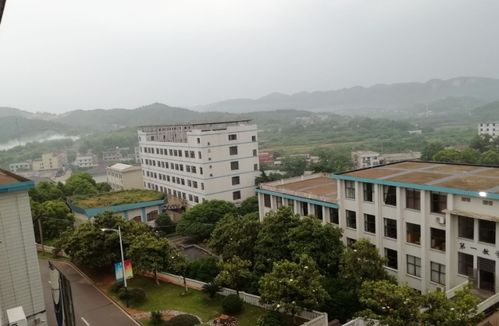 山东电力高等专科学校毕业去向,山东电力高等专科学校就业怎么样,山东电力高等专科学校怎么样