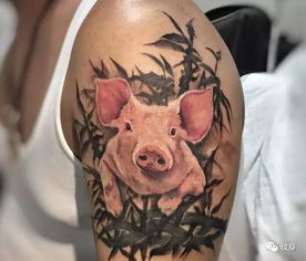 趣味纹身图案 性感的小猪纹身