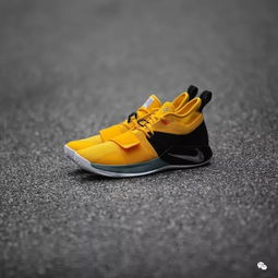 Nike PG 2.5