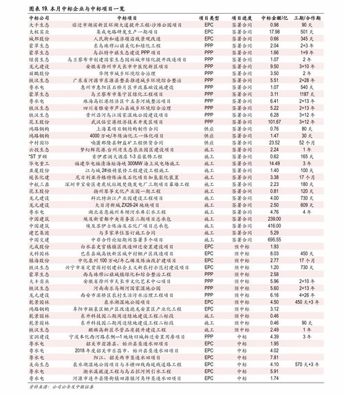 星云币 价格,满星云货币价格最新消息