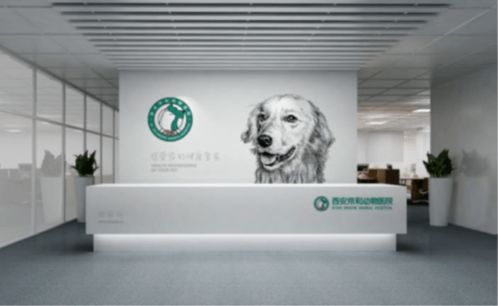 北京宠爱国际动物医院加入