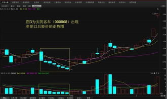 请问前天涨停的个股怎么用选股公式选出来呢拜托各位了 3Q