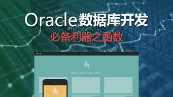 oracle数据库维保