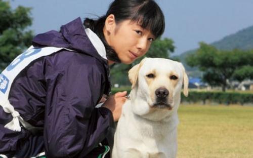 不能错过的五部日本宠物狗狗电影,看完哭成狗