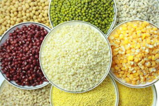 燕麦,小米,黑米,玉米的含糖量是多少,要具体数据,如每一百克多少或具体百分数 