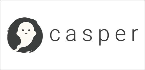  以太坊共识机制 casper,太卡斯是什么意思？ 百科