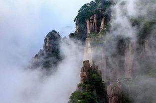 阳春三月下江南,赴一场醉美春季的盛宴 无锡 苏州 宏村 黄山