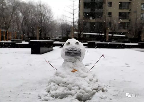 北京都下今冬第七场雪了,离我们见面的日子还会远吗