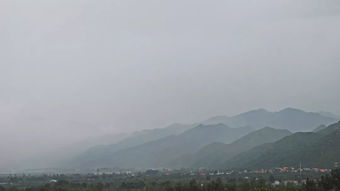 关于夏日雨后的诗句