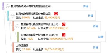 去甘肃电投炳灵水电公司？