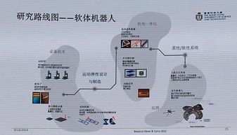 局限性太大和局限性太小是什么意思？