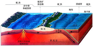 地球上的运动板块