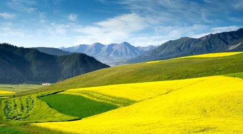 碧云天黄花地西风紧北雁南飞