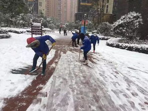 惠之美物业 ▏武汉一夜大雪纷飞 寒风刺骨中连夜扫雪保平安