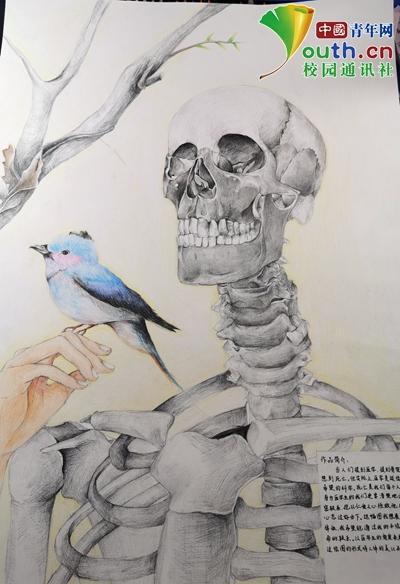 大学生手绘人体器官极具艺术美感
