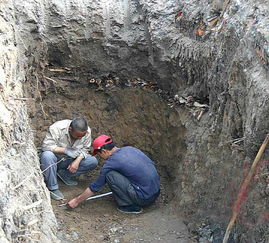 吉林长春挖出数百具人骨续 均为裸体被埋 