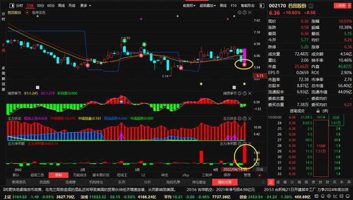 柳化股份支撑点是多少？