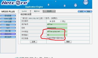 路由动态DNS该怎么设置 
