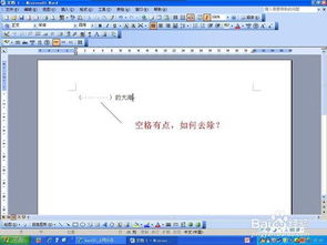 如何去除WORD文档中空格显示的点