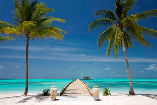 马尔代夫七星岛七日游攻略哪里最佳（马尔代夫七星岛屿）