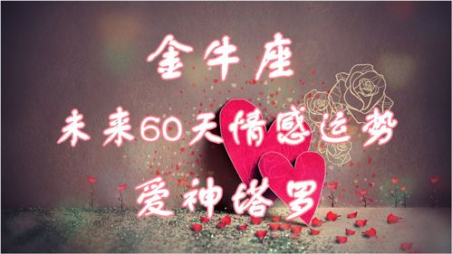 爱神塔罗 金牛座未来60天情感运势,放下过去,慢慢提升自己 