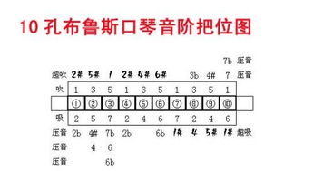 求零起步口琴自学教程,从没接触过乐器的人 