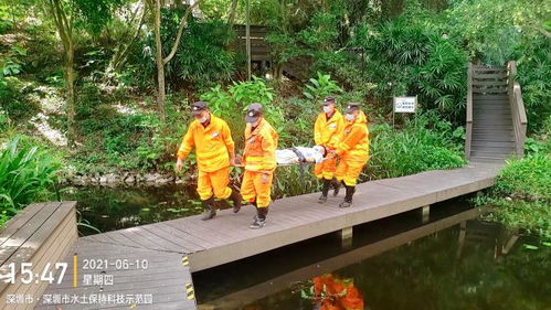 深圳市水土保持科技示范园开展安全生产月主题活动