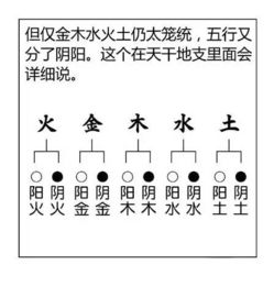 漫画讲解如何看八字,阴阳五行原来如此 