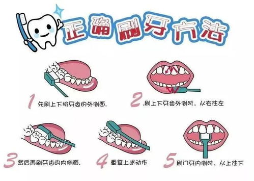 刷牙小口诀(刷牙口诀是什么)