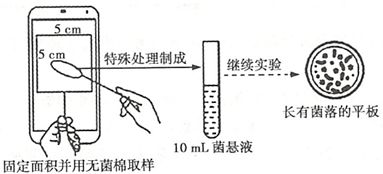 ftm培养基制备,选择基本成分