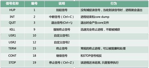 go 热更新,使用Nacos实现配置文件实时更新