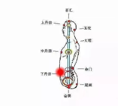 气沉丹田和气转丹田,丹田功的正确认识