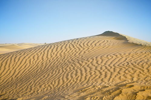 世上最大的沙漠,如果连续降雨一个月,就会变成绿洲 有可能吗