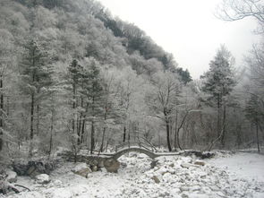 冬天到太白去看雪