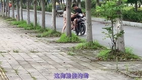 去男朋友外婆家,看看上海农村长啥样,顺便还救了一条狗