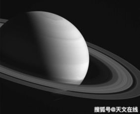 金星拱土星遇到的人